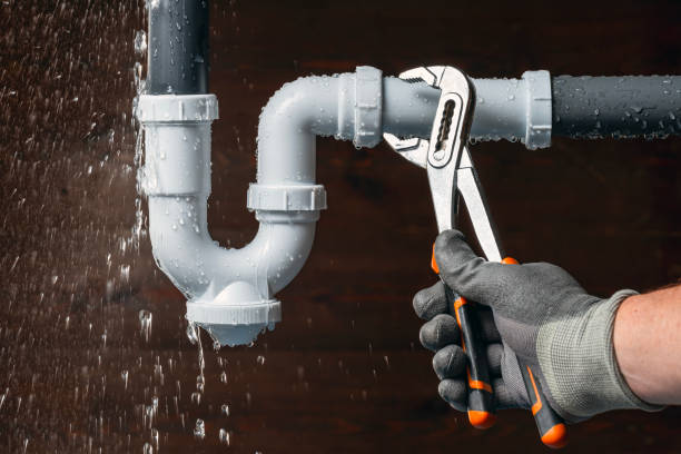 Professional Plumbing technician working in Falkville, AL